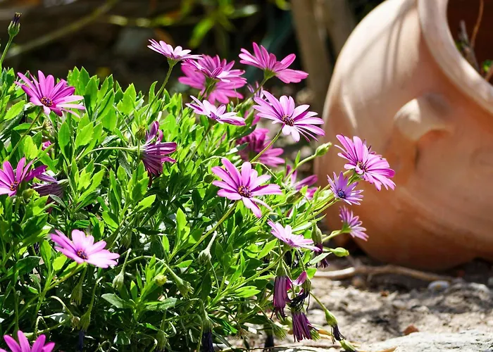 In Megalochori With Private Pool Villa Megalochori (Santorini)
